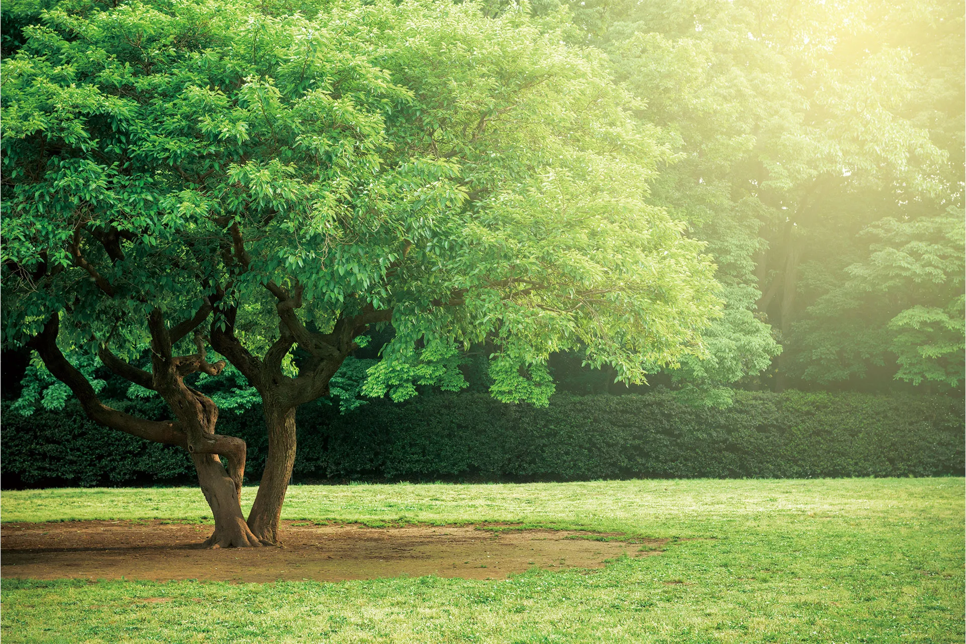 オレンジラボ株式会社