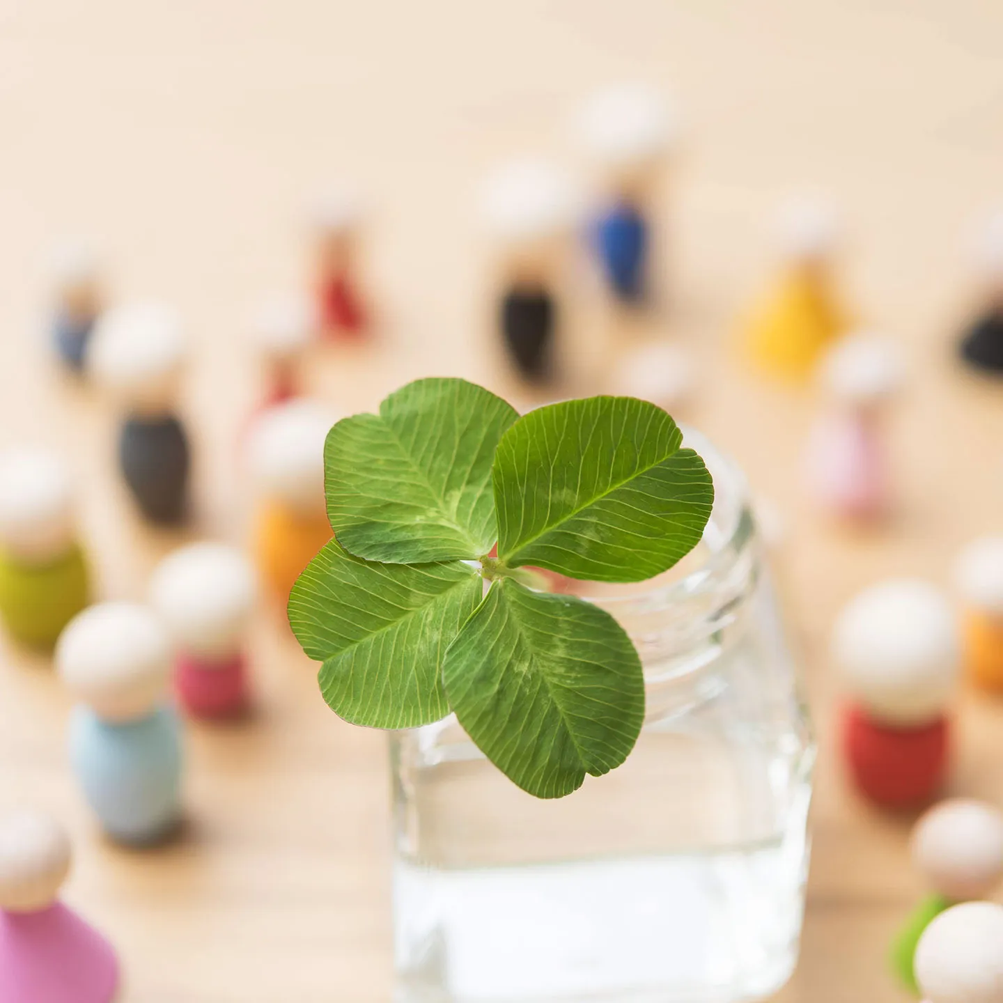 代表から皆様へごあいさつ